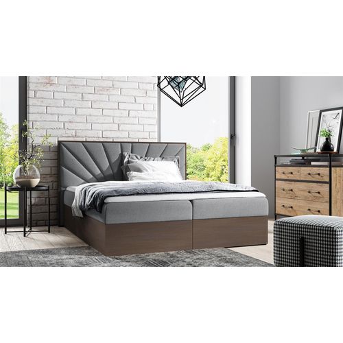 Boxspringbett Bett DAIMON 200x200cm Dunkel Eiche Stoff Grau inkl. Bettkasten