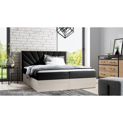 Boxspringbett Bett DAIMON 160x200cm Nordic Teak Stoff Schwarz inkl. Bettkasten