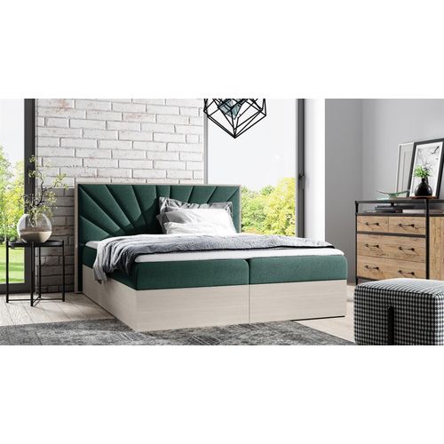 Boxspringbett Bett DAIMON 160x200cm Nordic Teak Stoff Grün inkl. Bettkasten