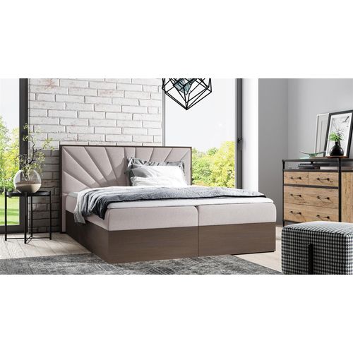 Boxspringbett Bett DAIMON 160x200cm Dunkel Eiche Stoff Hellbeige inkl Bettkasten