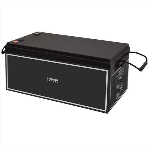 200Ah 12V Lifepo 4 Lithium Batterie | Akku mit BMS
