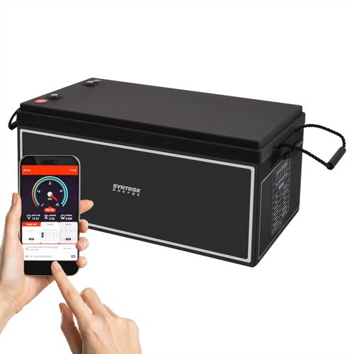 200Ah 12V Lifepo 4 Lithium Batterie | Akku mit BMS, Bluetooth