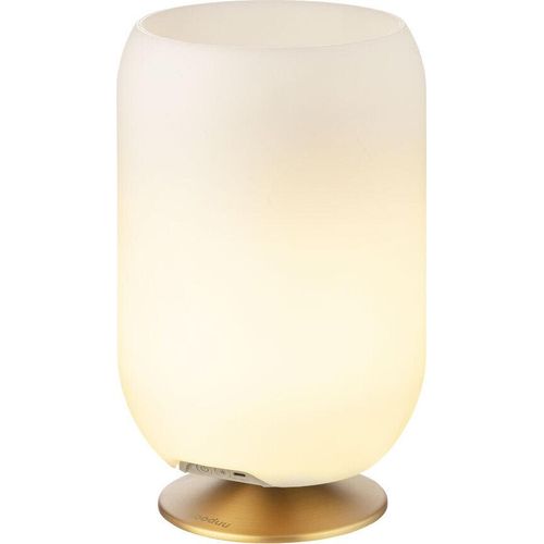 KOODUU Atmos Brass LED Bluetooth Lautsprecher mit Getränkehalter Messing