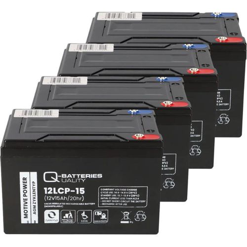 Akku-Satz 48V 15Ah passend für Forca Bossman-S 20