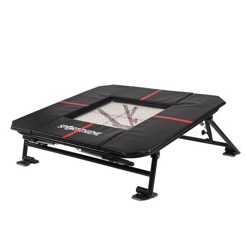 Sport-Thieme Minitramp 