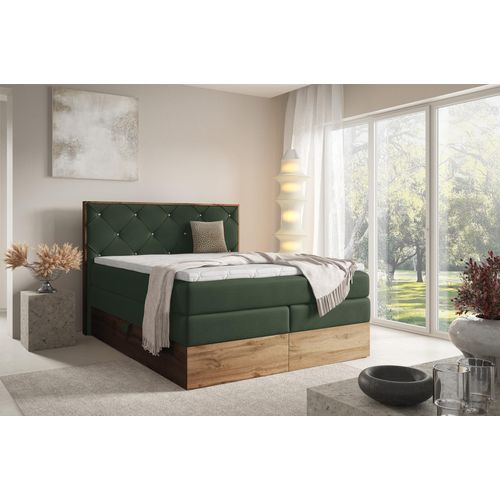 Boxspringbett Schlafzimmerbett NAVEL 160x200cm in Stoff Rouge Dunkelgrün