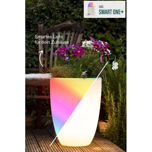 Beleuchteter Pflanztopf Shining Curvy Pot S SMART ONE+