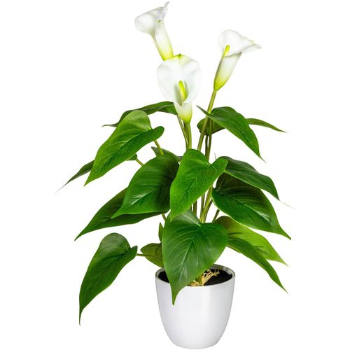 Kunstpflanze MY HOME 