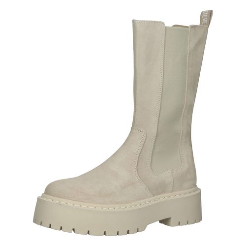 Stiefel STEVE MADDEN 