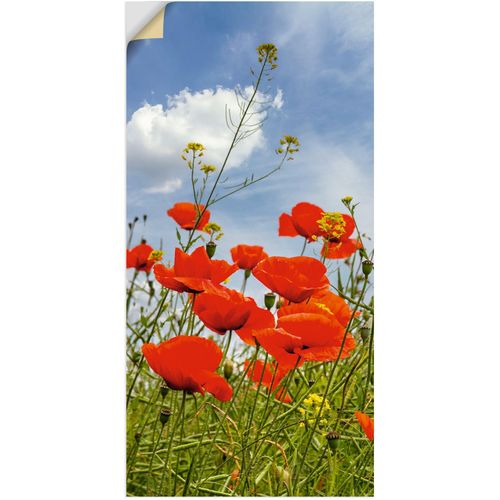 Wandbild ARTLAND 