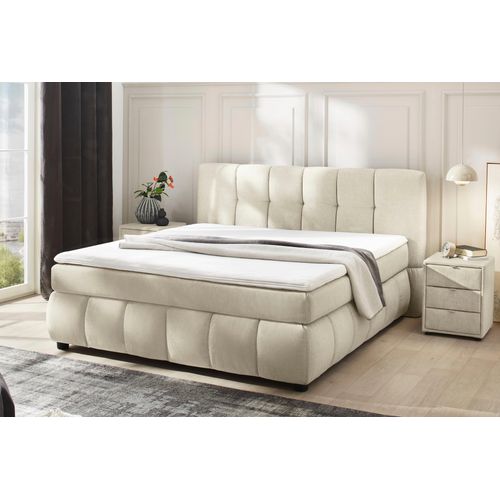 Boxspringbett JOCKENHÖFER GRUPPE 