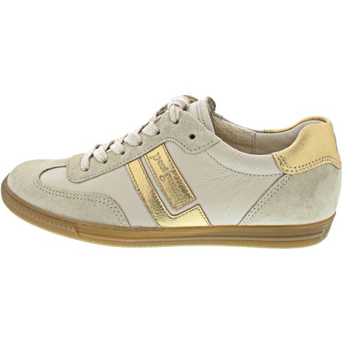 Paul Green 5450097 (6/biscuit)