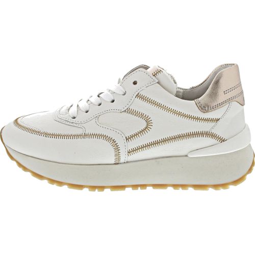Gabor 63.491.20 (5/latte-puder)