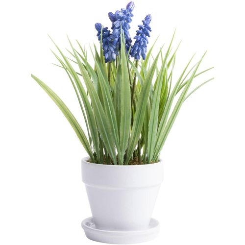 Kunstblume BOTANIC-HAUS "Muskari getopft", lila (lila, blau), B:18cm H:26cm T:18cm Ø:18cm, Kunststoff, Kunstpflanzen