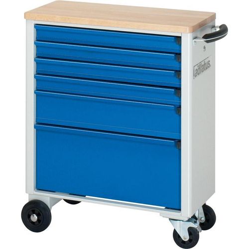 Rau Werkzeugwagen mit 6 Schubladen Buche BxTxH 700x350x860mm