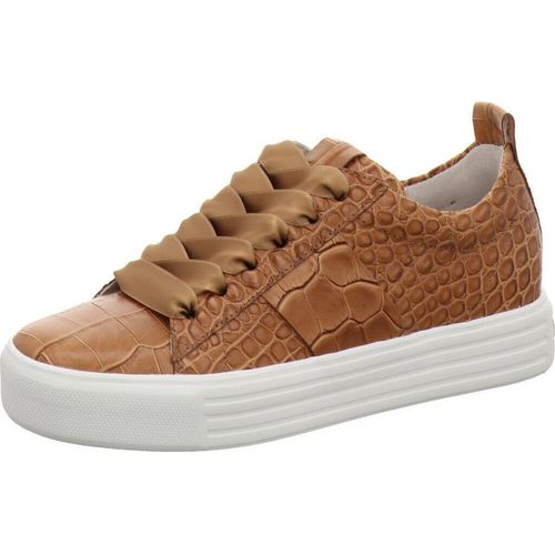 Sneaker Kennel & Schmenger 31 14510.737