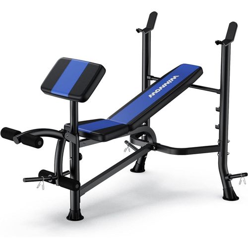 Verstellbare Hantelbank mit Beinstrecker und Preacher Curl Blau