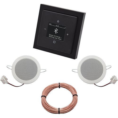 Busch Jäger DAB+ Unterputz Bluetooth (in and out) Radio 8217U-101 Future Linear Anthrazit, Komplett-Set mit 2 x Deckenlautsprecher Einbaulautsprecher + 20 m Lautsprecherkabel 2x0,75 mm2 8217 U - 101