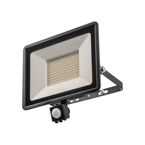 LIVARNO home LED-Außenstrahler, mit Bewegungsmelder