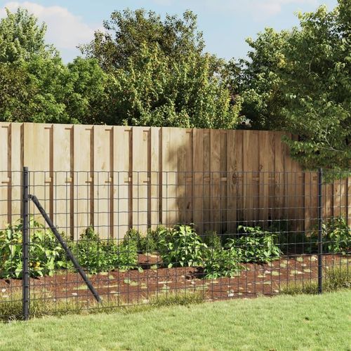 [Home] Maschendrahtzaun Anthrazit 1,1x25 m Verzinkter Stahl , Neue Mode 2024 im häuslichen Leben