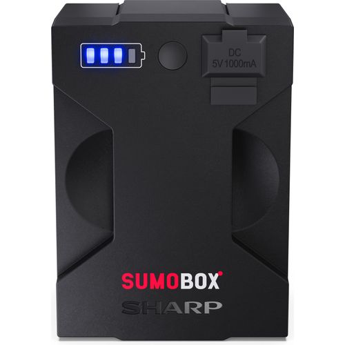 Batteriepack und Ladegerät CP-LSBP1
