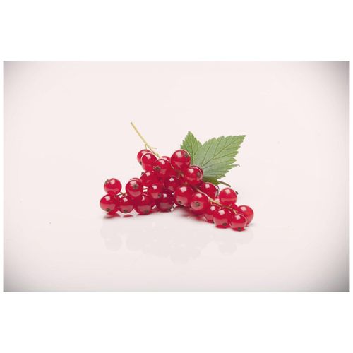 Ribes rubrum 'Rovada', Rote Johannisbeere, 30–40 cm