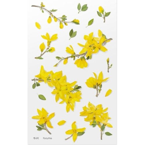 Dekorative Blumenaufkleber Forsythie von Appree