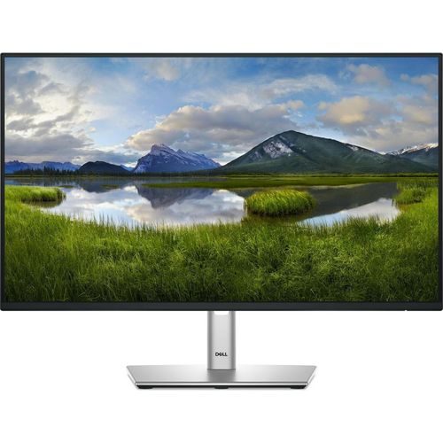 Monitor komputerowy DELL P Series P2425HE, 24