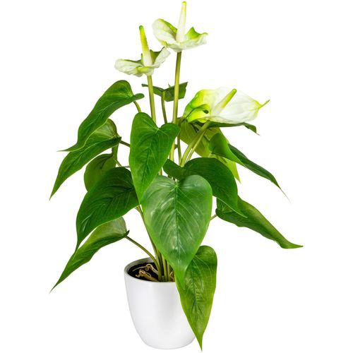 Kunstpflanze MY HOME 