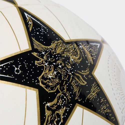 Fußball ADIDAS PERFORMANCE 