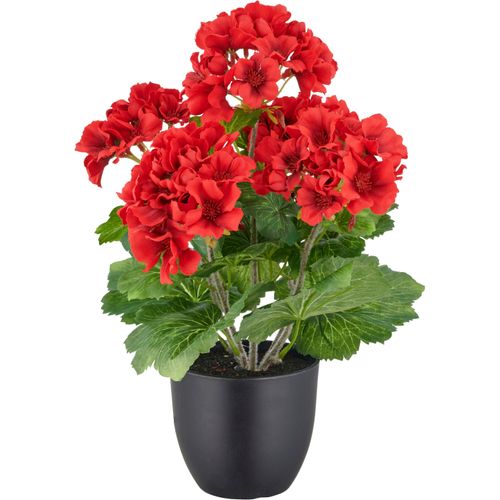 Kunstpflanze CREATIV GREEN 