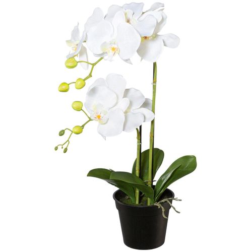 Kunstpflanze CREATIV GREEN, weiß, H:55cm, Polyester, Kunststoff, Kunstpflanzen