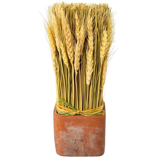 Trockenblume CREATIV HOME "Trockenblumen imTopf", rosa, B:10cm H:30cm, Kunstpflanzen