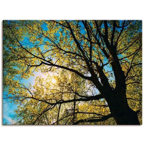 Leinwandbild ARTLAND 