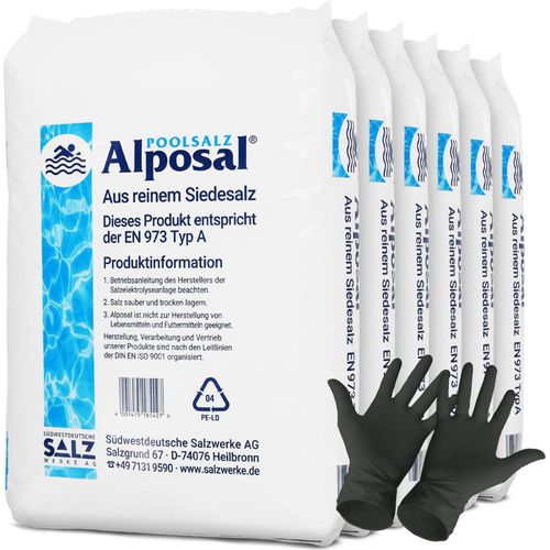 6x Alposal Poolsalz | Sack (25 kg) - B0845RF86W
