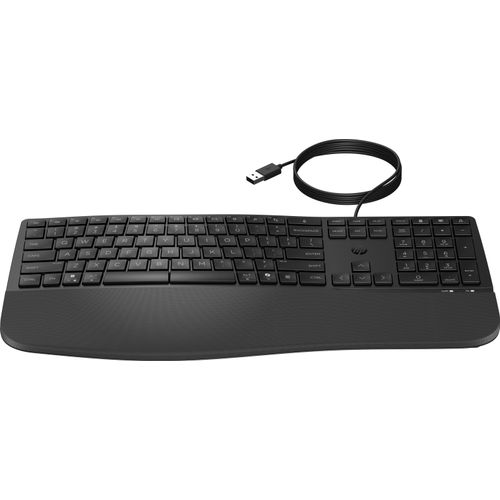HP 480 Comfort Wired Keyboard-GR (P)