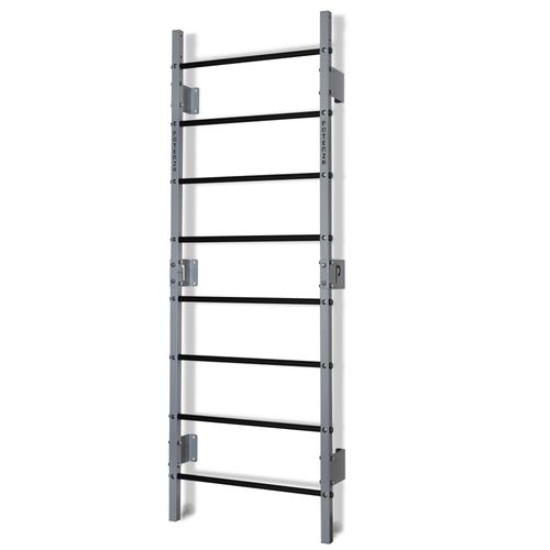Sprossenwand Turngeräte Fitness Turnwand Klettergerüst bis 250kg Kletterwand Gym Sportgerät für Erwachsene