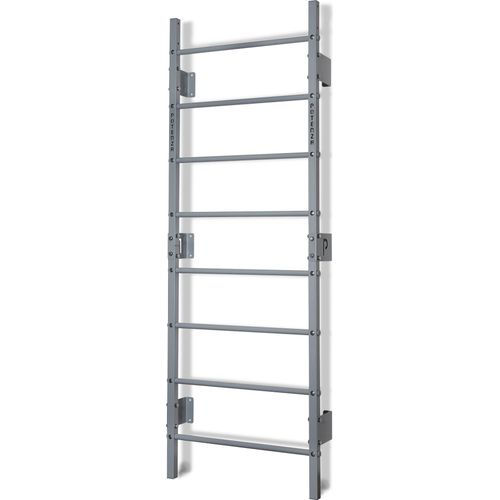 Sprossenwand Turngeräte Fitness Turnwand Klettergerüst bis 250kg Kletterwand Gym Sportgerät für Erwachsene