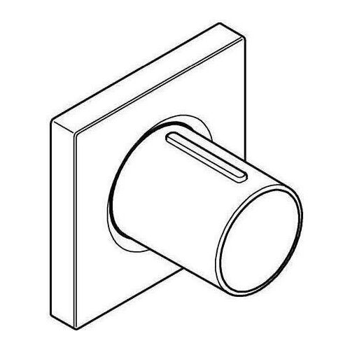Grohe Spa Grohtherm F Afdekset Chroom