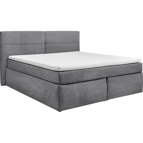 Boxspringbett - Grau - Breitcord - 200 x 220 cm