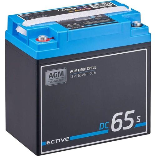 ECTIVE DC 65S AGM Deep Cycle mit LCD-Anzeige 65Ah Versorgungsbatterie - 0% nach §12 Abs. 3 UstG