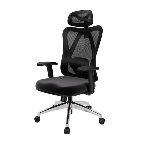POKAR Bürostuhl Ergonomischer mit Adaptiver Rückenlehne, Farbe:Silber
