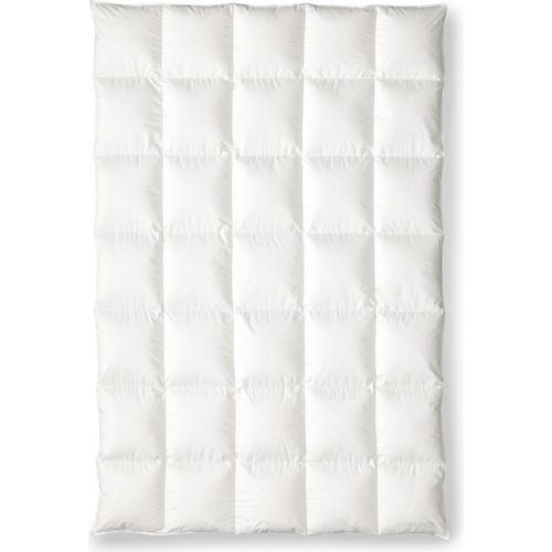 OBB Black Forest Schneegansdaunen-Duodecke Winterdecke Lara warm Größe 155x220 cm