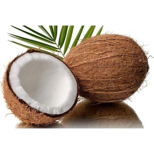 Kokosnuss-Matratze COCO MAXI 19 cm 180 x 200 cm Matratzenschutz: Einschließlich Matratzenschutz