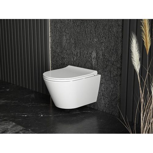 WC Spülrandlos kurze Wand Hänge WC Taharet Dusch-WC Toilette Softclose inkl . Armatur kalt Anschluss 49 cm 490x355 mit Bidet-funktion Intimdusche