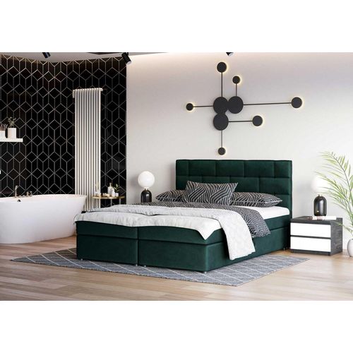 Designbett WALLY 160x200, Grün