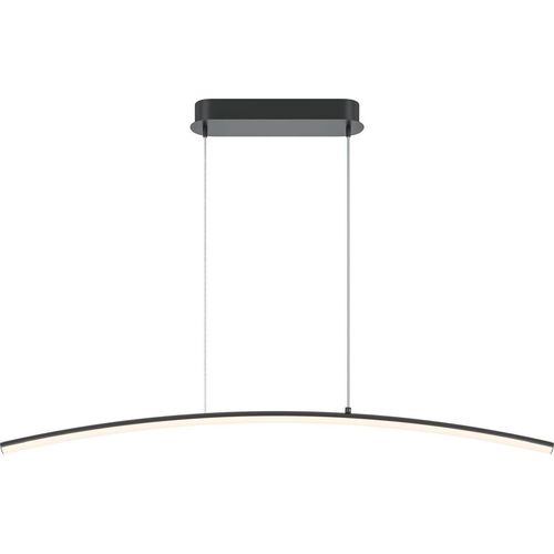 LED Pendelleuchte Metall H: max. 305,7 cm Schwarz länglich mit Farbwechsel 3000-4000 K 800 lm Modern