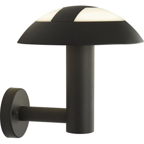 LED Außenlampe Wand Aluminium H: 30 cm IP44 Anthrazit neutralweiß 4000 K 505 lm Modern Außenwandleuchte