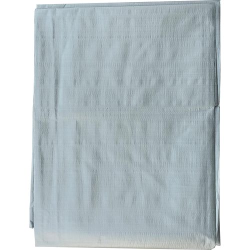 Plane Schutzplane Planen Grün, Silber,Blau 120/160/80 g m2 Profesionel Abdeckplane Gewebeplane (Silber 160g, 10x12m)