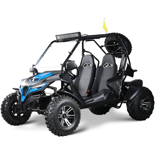 Buggy Kinderbuggy Strandbuggy Quad ATV Cheetah200x Go-Kart
